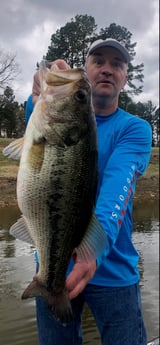 Largemouth Bass fishing in Lake Fork, Texas
