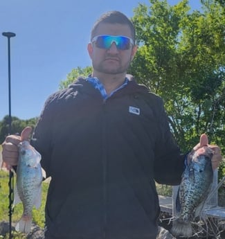 Crappie Fishing in Dallas, Texas