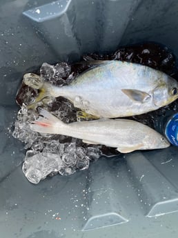 Fishing in Panama City Beach, Florida