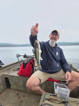 Fishing in Bee Branch, Arkansas