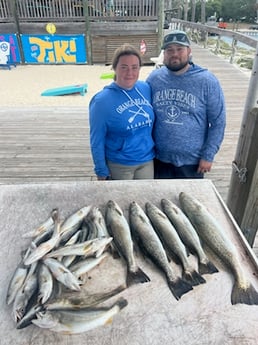 Fishing in Orange Beach, Alabama