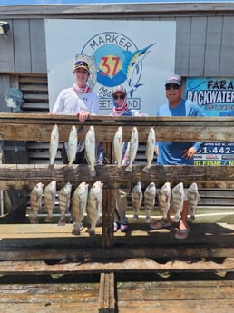 Black Drum, Speckled Trout Fishing in