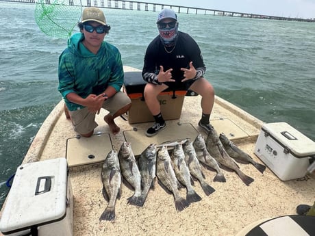 Black Drum Fishing in Port Isabel, Texas