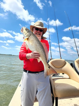 Black Drum fishing in Tiki Island, Texas