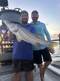 Snook Fishing in St. Petersburg, Florida