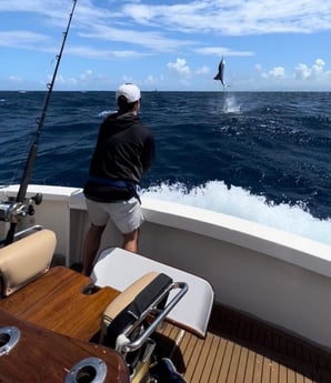 Sailfish fishing in San Juan, Puerto  Rico