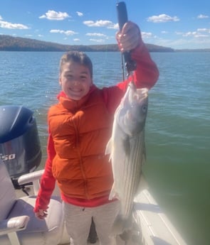 Hybrid Striped Bass Fishing in Pottsboro, Texas