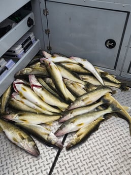 Fishing in Sheffield Lake, Ohio