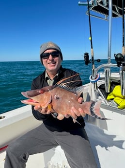 Fishing in Bradenton, Florida