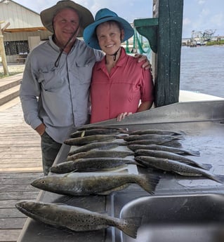 Speckled Trout / Spotted Seatrout fishing in Sulphur, Louisiana