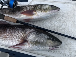 Fishing in Lakeland, Florida