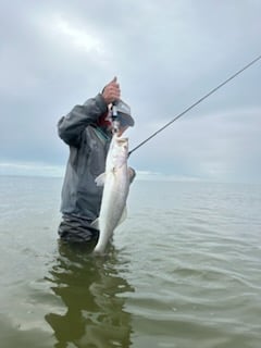 Fishing in Matagorda, Texas