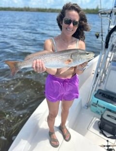 Redfish Fishing in Cape Coral, Florida