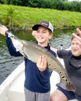 Clown Knifefish Fishing in Delray Beach, Florida