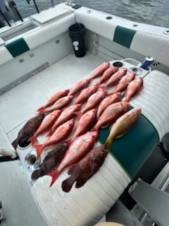 Fishing in New Smyrna Beach, Florida