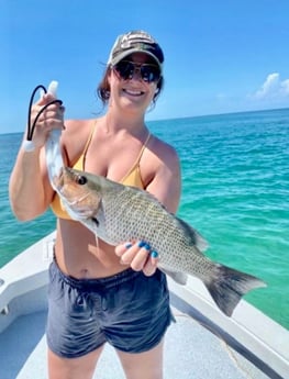 Mangrove Snapper Fishing in Marathon, Florida