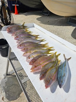 Fishing in Big Pine Key, Florida