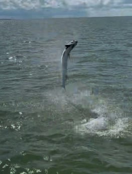 Fishing in Marco Island, Florida