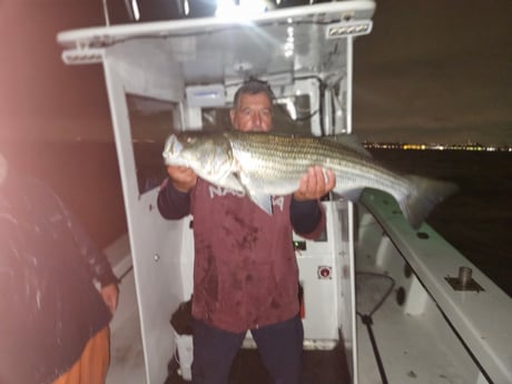 Fishing in Howard, New York
