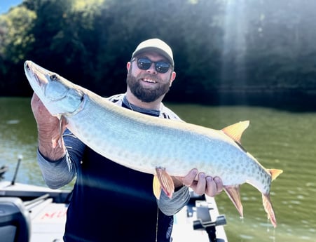 Muskie Fishing in Knoxville, Tennessee