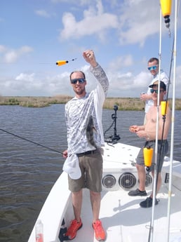Black Drum Fishing in