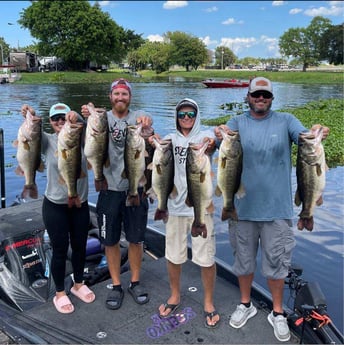 Largemouth Bass Fishing in Wellington, Florida