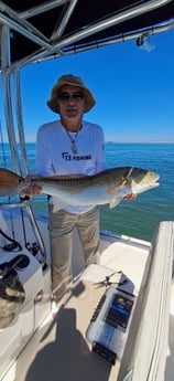 Fishing in Orange Beach, Alabama