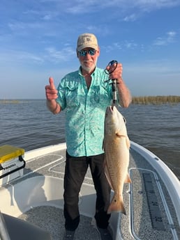 Redfish Fishing in Buras, Louisiana