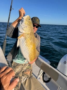 Fishing in Tarpon Springs, Florida