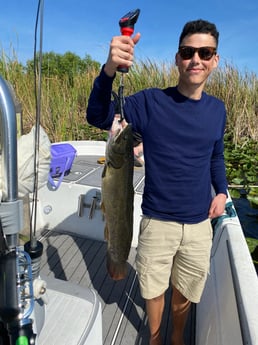 Fishing in Pembroke Pines, Florida