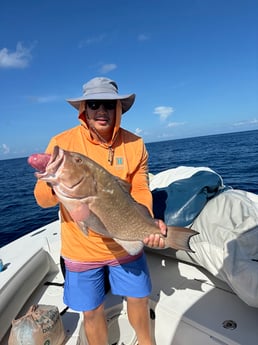Fishing in Sarasota, Florida