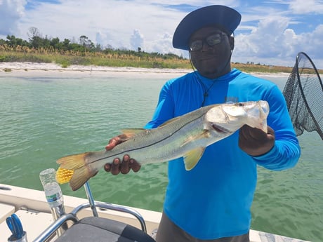Fishing in St. Petersburg, Florida