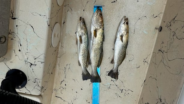 Fishing in DeFuniak Springs, Florida