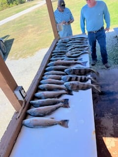 Black Drum, Redfish, Speckled Trout Fishing in Boothville-Venice, Louisiana
