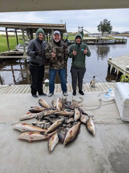 Black Drum, Redfish Fishing in Sulphur, Louisiana