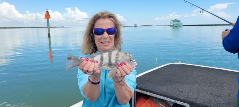 Black Drum Fishing in Port Isabel, Texas