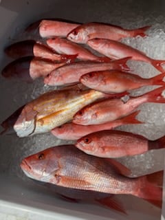 Fishing in Santa Rosa Beach, Florida