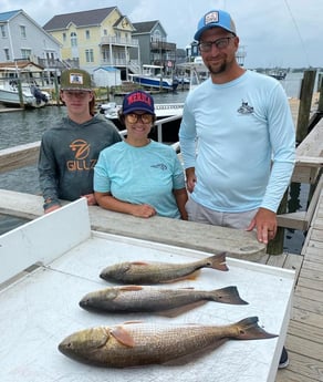 Redfish Fishing in Beaufort, North Carolina