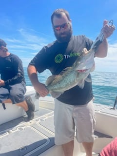 Gag Grouper Fishing in Crystal River, Florida
