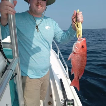 Red Snapper Fishing in St. Marys, Georgia