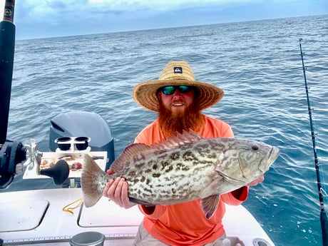 Gag Grouper fishing in Wilmington, North Carolina