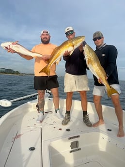 Redfish Fishing in Pensacola, Florida