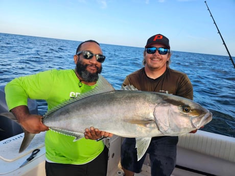 Amberjack Fishing in Clearwater, Florida
