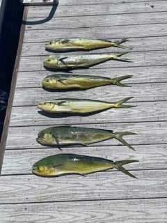 Fishing in Coconut Creek, Florida