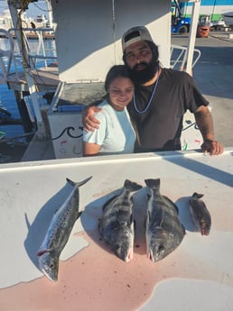 Black Drum, Spanish Mackerel Fishing in Fort Myers Beach, Florida