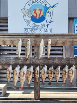 Fishing in Corpus Christi, Texas