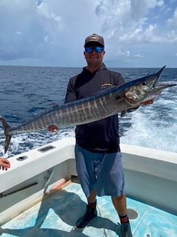 Wahoo Fishing in West Palm Beach, Florida