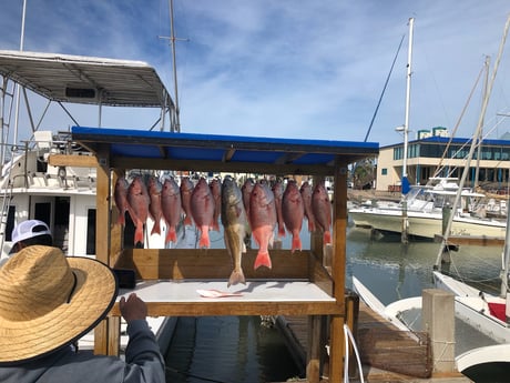 Fishing in South Padre Island, Texas