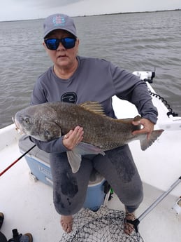 Black Drum Fishing in