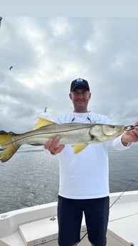 Fishing in Sarasota, Florida